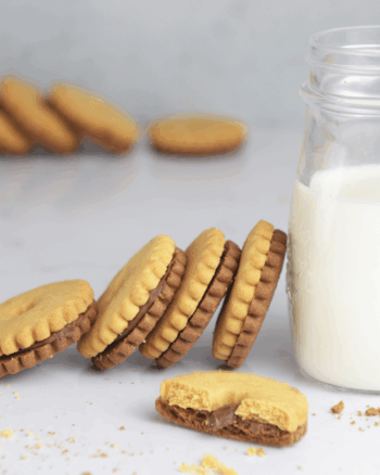 images Le biscuit site web 26 - 38 - Le Biscuit