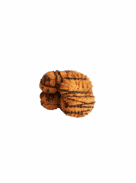 Alpha Nappage 1 uai - Le Biscuit