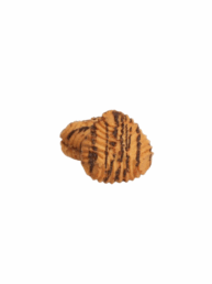Triangle Nappage 1 uai - Le Biscuit