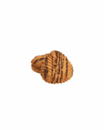 Triangle Nappage 1 uai - Le Biscuit