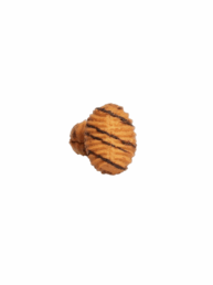 le le le 12 uai - Le Biscuit